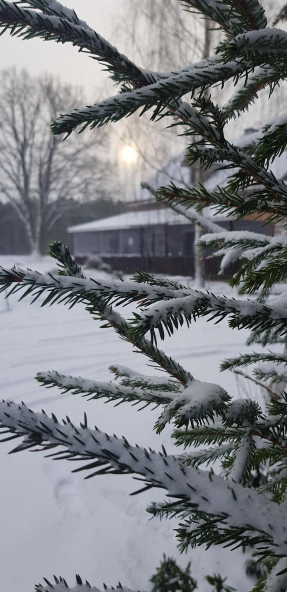 Malinada-Kaimo Sodyba Villa Salcininkai Exteriör bild